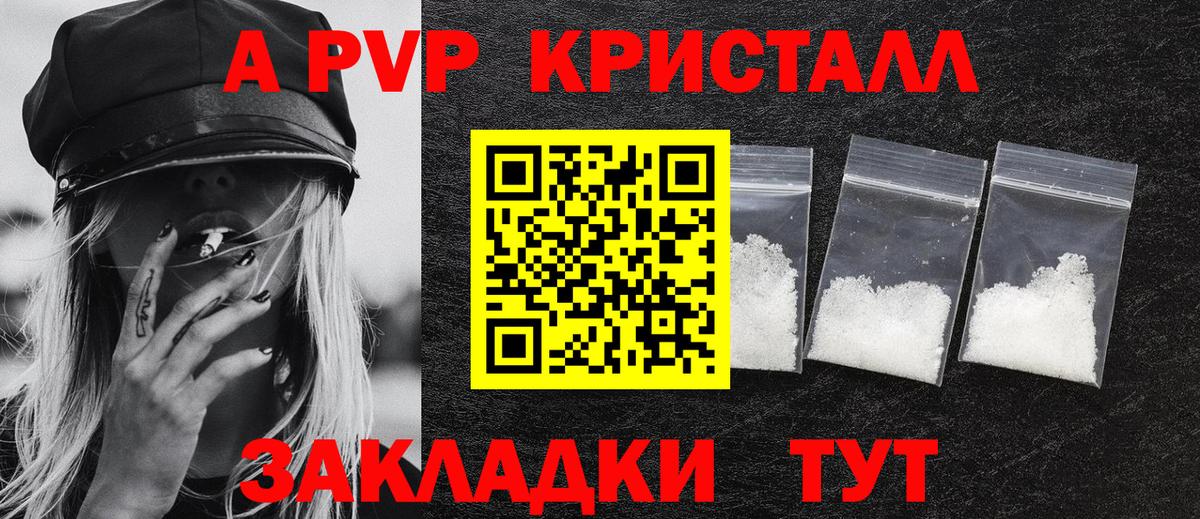 Альфа ПВП СК КРИС Пугачёв