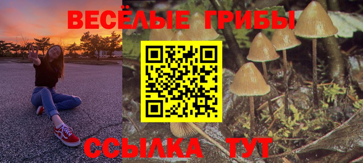 Псилоцибиновые грибы прущие грибы Пугачёв